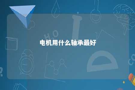 电机用什么轴承最好 